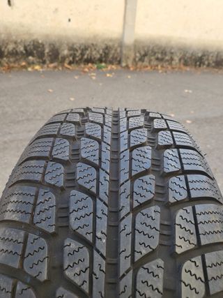 215/60 R17 96H, 2 Ruedas Sunny