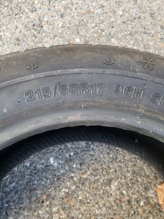 215/60 R17 96H, 2 Ruedas Sunny