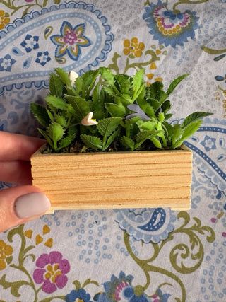 Pack jardín casa de muñecas