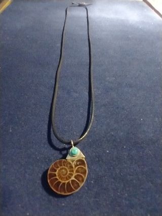 Colgante Amonita Fosil Prehistórico Turquesa