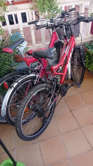 Bicicleta de montaña roja 1 24 y 2 de 26 las 3 90€