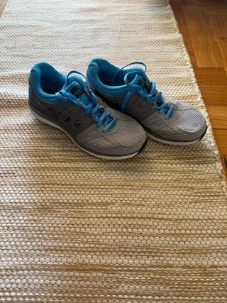 Zapatillas Nike Grises y Azules