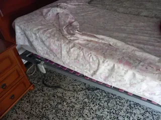 Cama eléctrica articulada