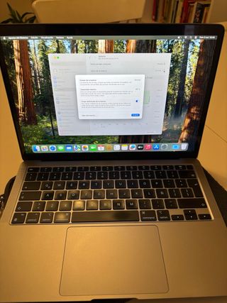 MacBook Air M1 2020 Plata/Gris Espacial 250GB