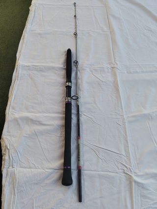 Caña Jiguin 1,65m 20/30lbs no envio