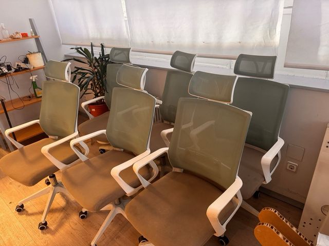 Sillas de oficina Sklum (6 unidades)