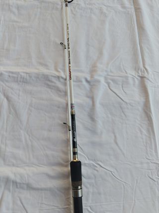 Caña Cinnetic 2.40m Acción 10-30g Nueva no envio