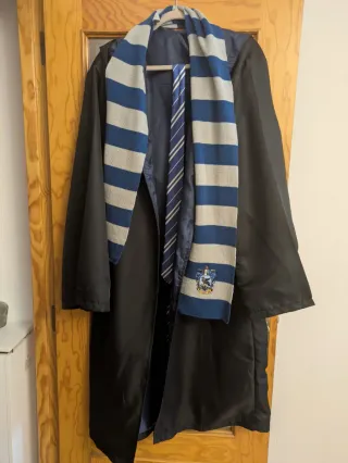 Disfraz Harry Potter Talla Única