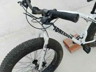 Bicicleta Fat  bike