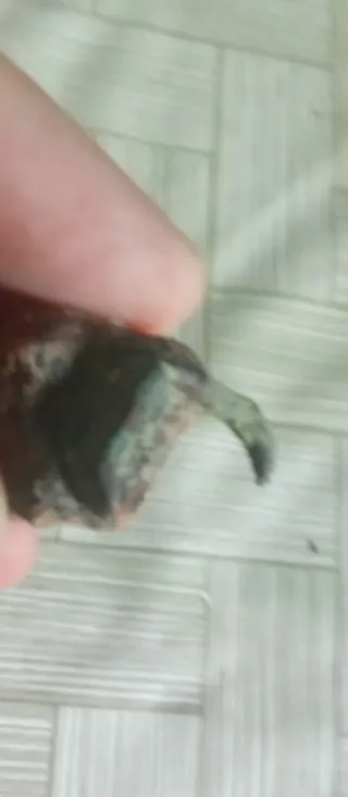 Anillo antiguo posiblemente romano 
Despegada 