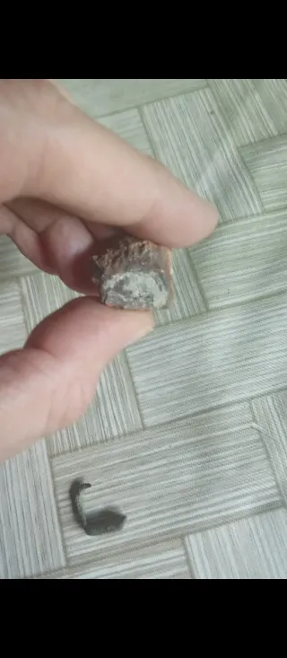 Anillo antiguo posiblemente romano 
Despegada 