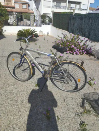 Bicicleta de paseo plateada