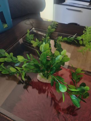 Plantas artificiales para acuario