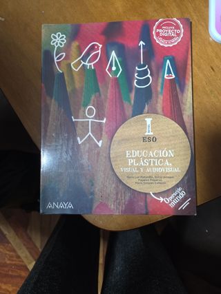 Educación Plástica, Visual y Audiovisual. Nivel...