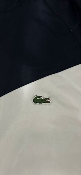 Chándal Lacoste Tricolor