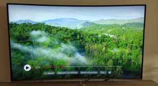 Samsung TV Curva 55"