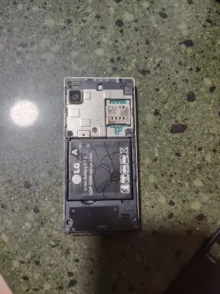 Teléfono LG Negro/Plateado