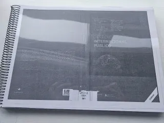 Derecho Internacional Público (LEX Académica) (...