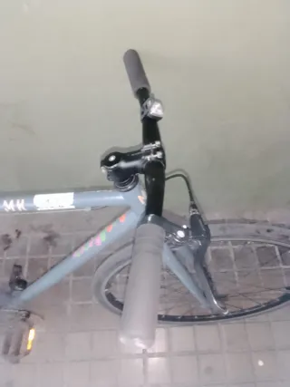 Bicicleta Fixie Gris