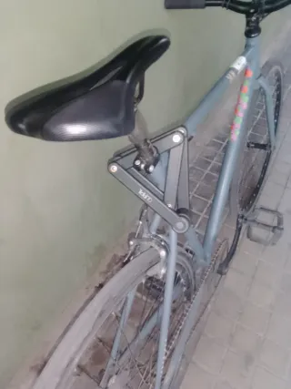 Bicicleta Fixie Gris