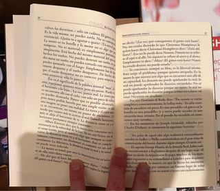 GANSO ESTA FUERA, EL (Spanish Edition)