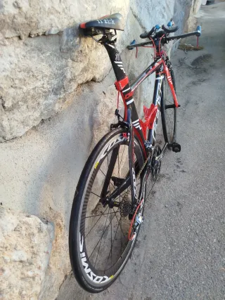Felt Contrarreloj