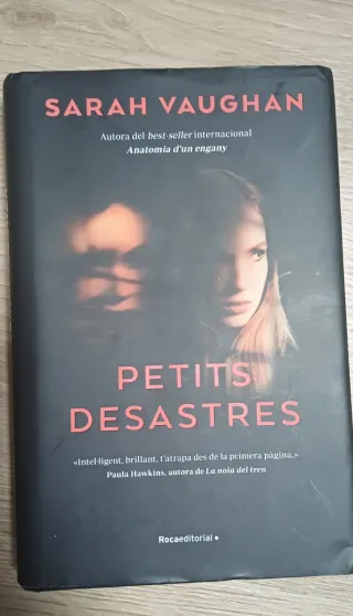 Petits desastres