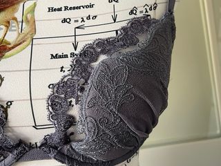 Sujetador La Perla Gris Encaje