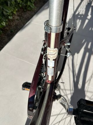 Bicicleta paseo con cesta marrón