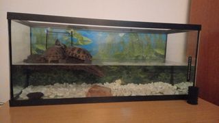 Acuario 100L Negro/Transparente