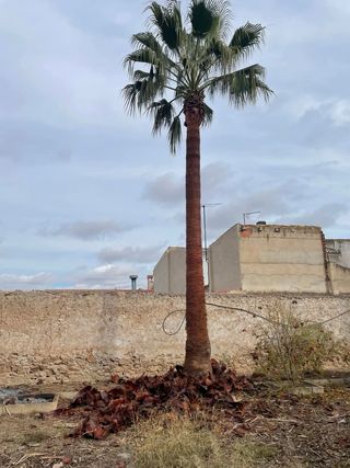 Jardinero económico