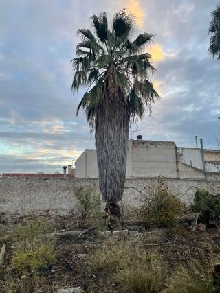 Jardinero económico