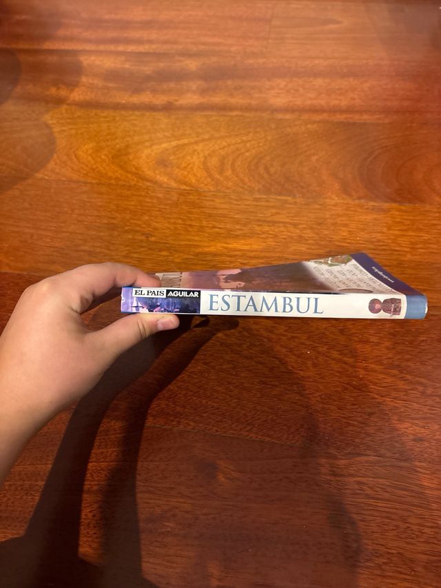 ESTAMBUL GUIAS VISUALES 2007 (Spanish Edition)