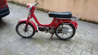 Grupo vespino