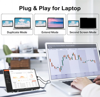 Monitor HAMTYSAN 7 HD IPS