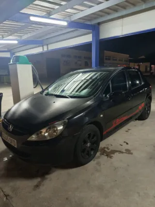 Peugeot 307 2004