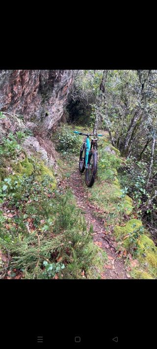 Bicicleta Trek Stache 29+ MTB