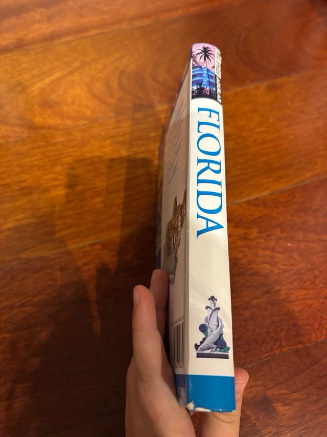 FLORIDA GUIAS VISUALES 2008 (Spanish Edition)