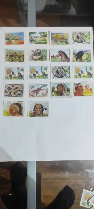 Cromos Chocolate Juncosa