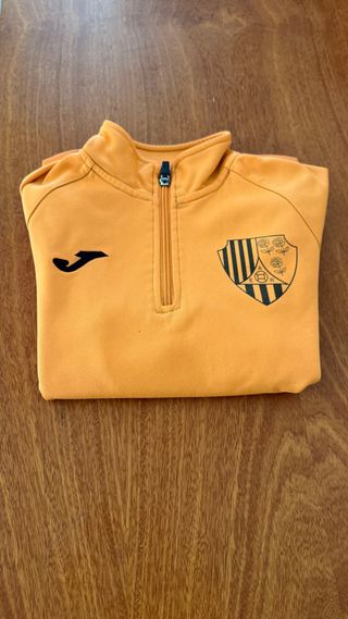 Sudadera Joma Naranja AE Roses