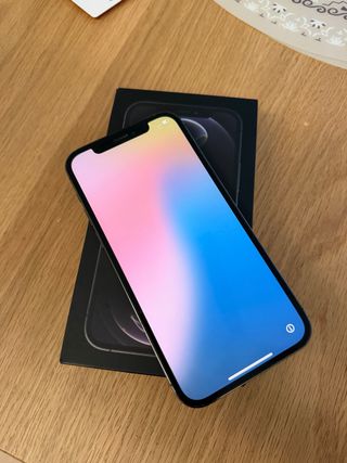 iPhone 12 Pro 256GB Grafito