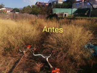 Servicio de jardinería profesional