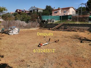 Servicio de jardinería profesional