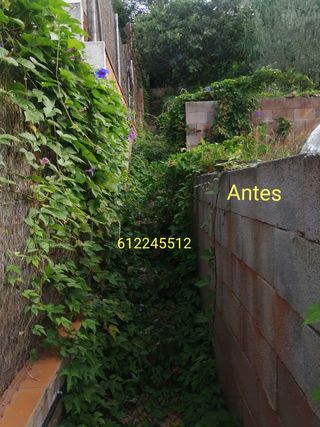 Servicio de jardinería profesional