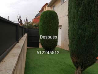 Servicio de jardinería profesional