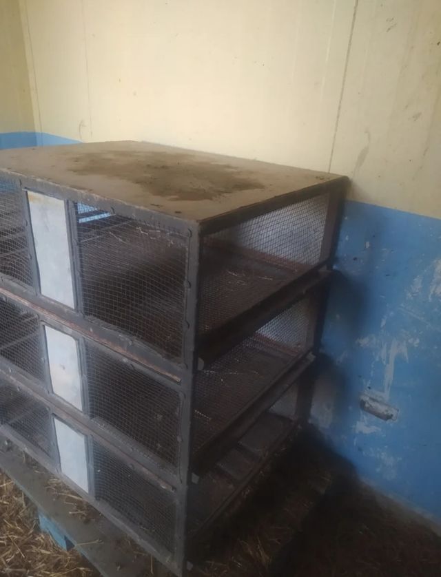 Jaula 3 compartimentos