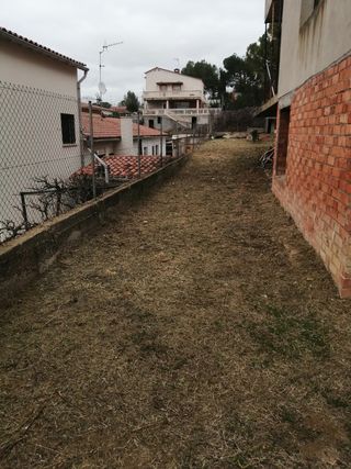 Limpieza de parcelas y poda de árboles