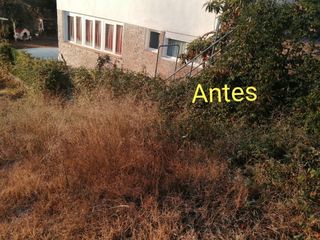 Limpieza de parcelas y poda de árboles
