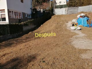 Limpieza de parcelas y poda de árboles