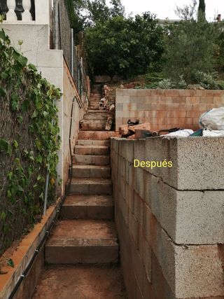Limpieza de parcelas y poda de árboles